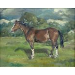 CLAIRE BURTON, PORTRAIT OF A HORSE, SIGNED AND DATED 1980, OIL ON HARDBOARD, 38 X 48CM