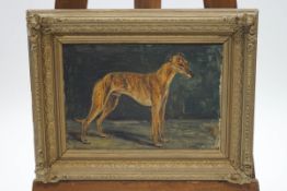 F T Daws, Greyhound portraits, oil on board, set of three, each titled lower left,
