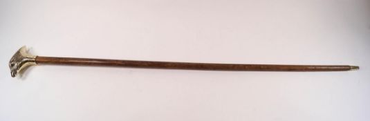 A walking stick with a brass bird's head knop