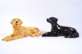 Two Beswick figures of a Golden Retriever and a Black Labrador, printed factory marks,