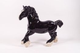 A Beswick figure of a trotting Shire, Collector's Club edition, glossy black glaze,