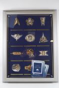 A set of twelve Franklin Mint Star Trek Insignia Collection badges,