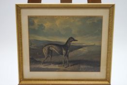 British School, 19th century, Greyhound within a landscape, Aquatint, 30cm x 37.
