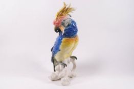 A Karl Ens porcelain model of a cockatoo, impressed mark 7141,
