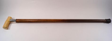 A malacca stick with ivory handle and wide silver collar,
