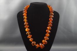 An amber necklace, the irregular shaped beads graduated approx.