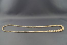 An early 20th century ivory bead necklace, the beads graduated approx. 19mm - 5mm, approx.