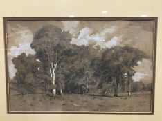 Attributed to James Duffield Harding, Trees in a landscape, pencil heightened with white gouche,