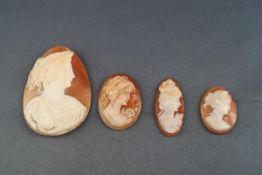 A collection of Four assorted shell cameos, un-mounted. Gross weight: 22.