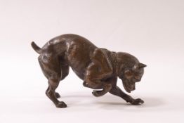 A 19th century bronze model of a bull mastiff with his head down in a playful pose, 13.