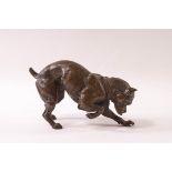 A 19th century bronze model of a bull mastiff with his head down in a playful pose, 13.