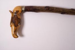 A country walking stick with carved eagle's head handle and owl design to the shaft