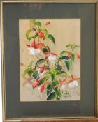 Jane Horton, Fuschia, Orchids, Bodycolour, a pair, Signed and dated lower right,