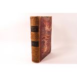 Nature-Printed BRITISH FERNS by Thomas Moore, Vol II, Octavo edition, published by Bradbury,