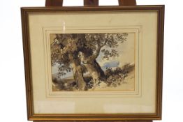 James Duffield Harding, Trees, watercolour, signed under the mount, 23.