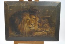 After Landseer, Two Lions, oil on panel, signed indistinctly lower right,