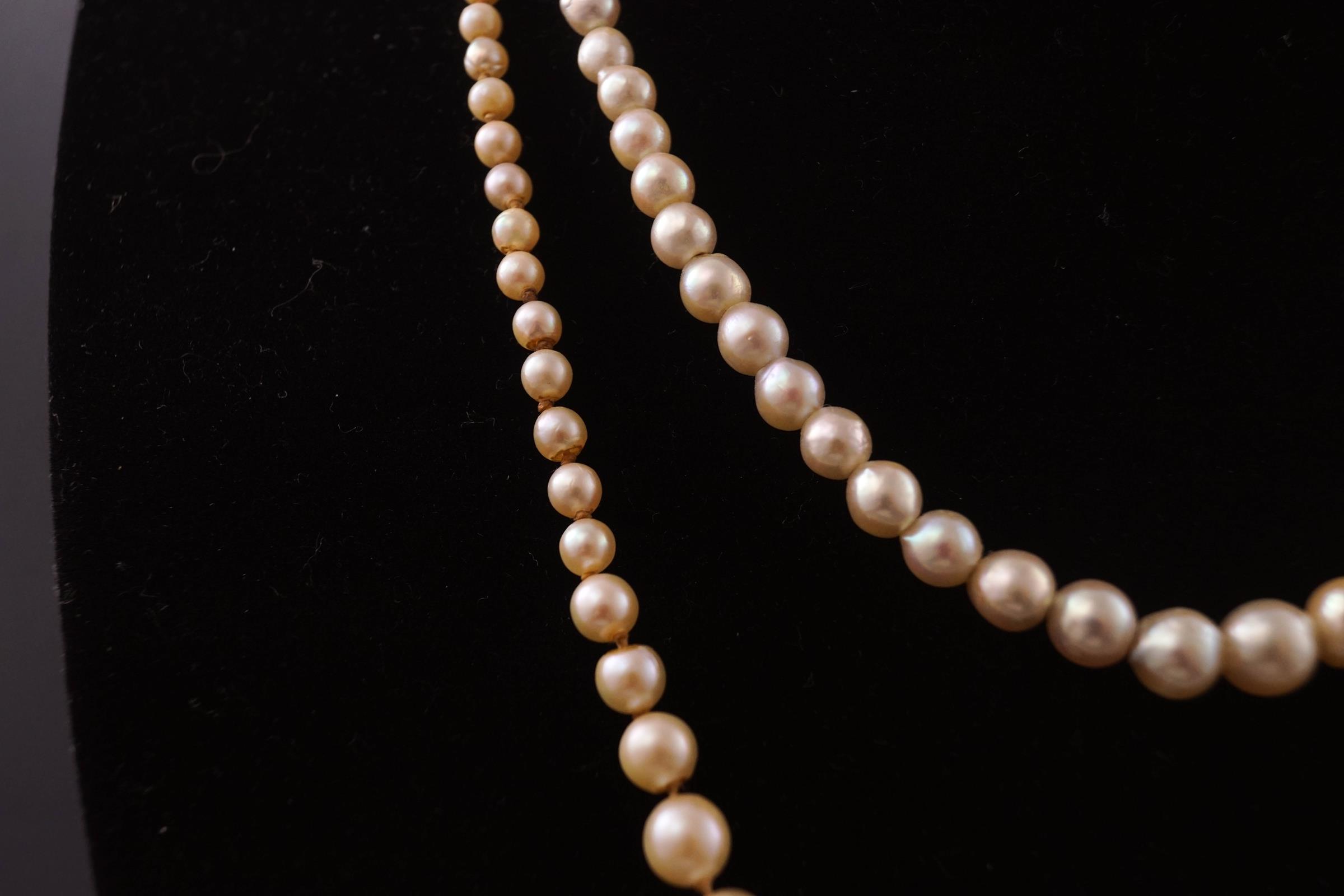 Two strands of graduated cultured pearl necklaces each having silver clasps set with - Image 2 of 2