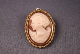 A yellow metal cameo pendant/brooch and a matching pair of clip on earrings.