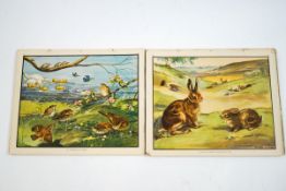 A collection of Enid Blyton Nature Plates, drawn by Eileen A Soper, incomplete, in original box,