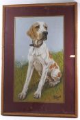 Don J Johnson, Gun dog in stalking pose, pastel, signed lower left, 27cm x 41cm,