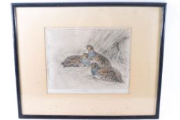 George Vernon Stokes, Group of Partridges, hand coloured etching, signed in pencil to the margin,