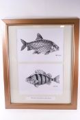 Keith Linsell, two fish prints, framed as one,