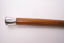 A malacca cane with 1 3/4" silver tip,