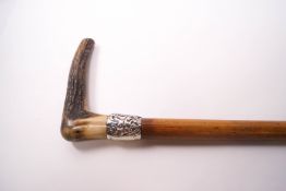 A malacca walking stick with horn handle and silver collar