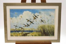 Peter Scott, Ducks taking flight out of the reeds, coloured print, signed in pencil in the margin,