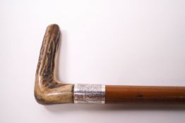 A malacca walking stick with 1 1/2" silver collar