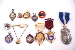 Various enamel and other badges,