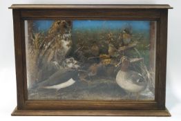 Victorian Taxidermy: Tawny owl with a lapwing, teal and various garden birds, in glazed case,