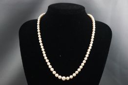 A Victorian single strand graduated cultured pearl necklace (5.00mm to 8.