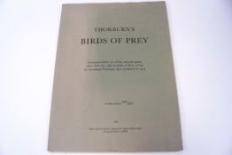 Thorburn's Birds of Prey, limited edition set of four selected prints, Peregrine Falcon, Gyr-Falcon,