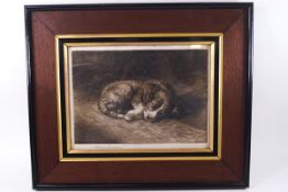 Herbert Dicksee, A Puppy Asleep, engraving, signed in pencil,