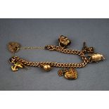 A yellow gold curb bracelet with padlock and safety chain with six assorted charms attached.