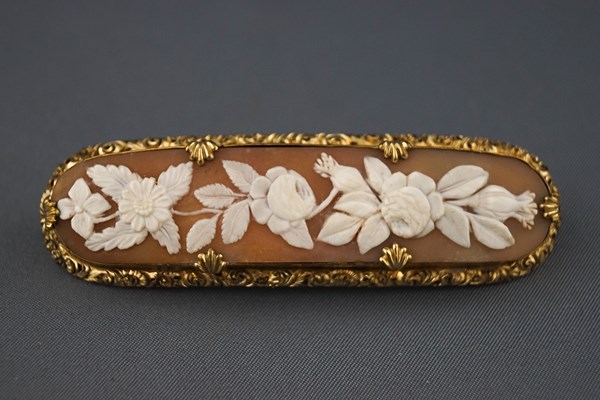 A gilt-metal and shell cameo oblong brooch depicting trailing flowers in Victorian style within a