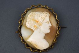 A carved cameo shell brooch fitted to a gold plated mount with attached safety chain (broken) Pin