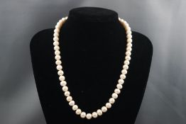 A single strand of freshwater cultured pearls with 9ct white gold clasp. 54.