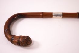 A slim walking stick with silver collar,