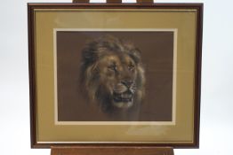 Joel Kirk (British, born 1948), Study of a Lion, pastel, signed lower right,