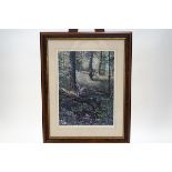 Steven Townsend, Grey Squirrel in a Bluebell Wood, limited edition print,