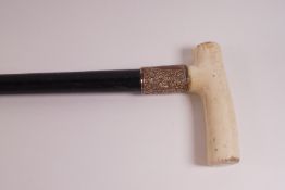 A Victorian ivory handled walking cane with gilt metal collar,