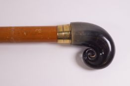 A walking stick with a goats horn knop,