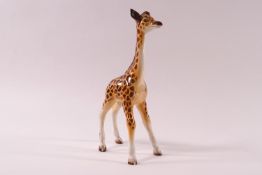 A Beswick figure of a giraffe, printed marks,