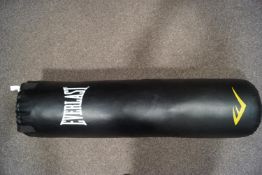 An Everlast professional punch bag with straps, pro training gloves,