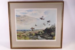 Roger McPhail, Flying Grouse, limited edition print, signed in pencil and numbered 275/500,
