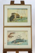 Japanese School, Fish and Crustaceans, modern colour reproduction prints, set of eleven, 25cm x 36.