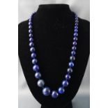 A set of lapis lazuli graduated beads measuring from 5.50mm to 18.50mm with a silver bolt clasp 101.