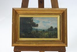 English Schoool, 19th century, Wooded landscape, oil on board, signed indistinctly,